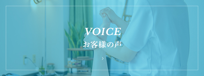 VOICE